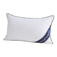 DOWNCOOL Throw Pillow Inserts (Pack of 1) - 12 x 20 White Rectangle Pillow Inserts for Sofa Bed - Indoor Decorative Couch Pillows