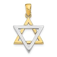 14k Two-tone Gold 3d Jewish Star Of David Charm