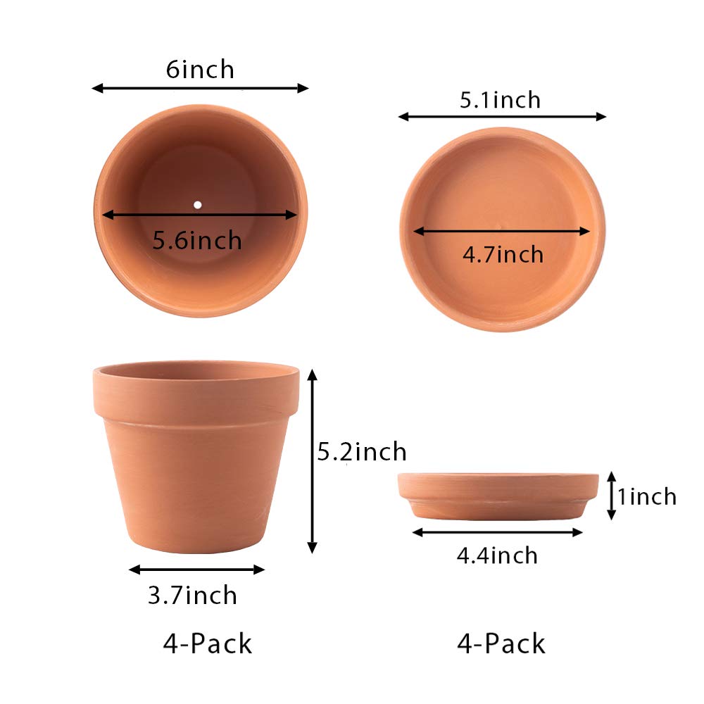 Pack of 12 Terra Cotta Size 8 INCH, Clay Saucer Southern Patio Part TC0812SR 
