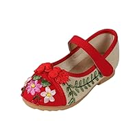 Girl's Embroidery Mary-Jane Shoes Kid's Cute Flat Shoe