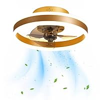 Ceiling Fans with Lights Flush Mount Ceiling Fan with Light Remote Control Timing 3 Colors 6 Speeds LED Stepless Dimming Low Profile Ceiling Fan Light for Bedroom, Kid's Room