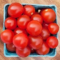 Wayland Chiles Bing Cherry Tomato Seeds