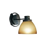 Woodbridge Lighting 53075-BRZ 6-1/2-Inch by 9-1/2-Inch by 8-1/4-Inch Wayman 1-Light Bathroom Sconce, Bronze