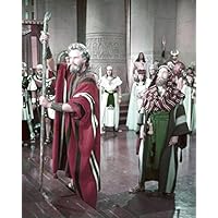 The Ten Commandments Charlton Heston as Moses with staff 8x10 Photo