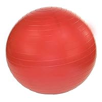 JFIT Stability Exercise Ball
