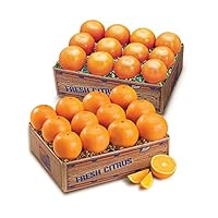 Juicy Indian River Florida Navel Oranges Grove Fresh 2 Trays, 20lbs