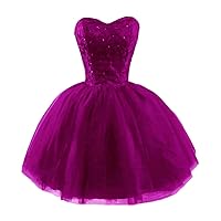 Women's Sweetheart Lace Applique Homecoming Dress Short Strapless Prom Gowns Tulle