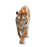 Startled Bangel Tiger 3 inch Static Cling