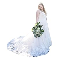 Women's Plus Size Bridal Ball Gowns with Long Train Lace Wedding Dresses for Bride 2022