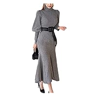 Women's Autumn Winter Korean Style High Collar Slim Long Sleeve Jersey Dress
