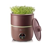 Bear Bean Sprouts Machine, Automatic Bean Sprouts Maker, Purple Clay Seed Sprouting Kit with Germination Container, Automatic Watering DYJ-B01C1，120V，20W