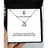 Epic Grandma Gifts, I'm As Lucky As Can Be The Best Grandma Belongs to Me, Unique Wishbone Dancing Necklace for Grandmother from Grandchild