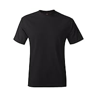 Hanes Mens 5250T