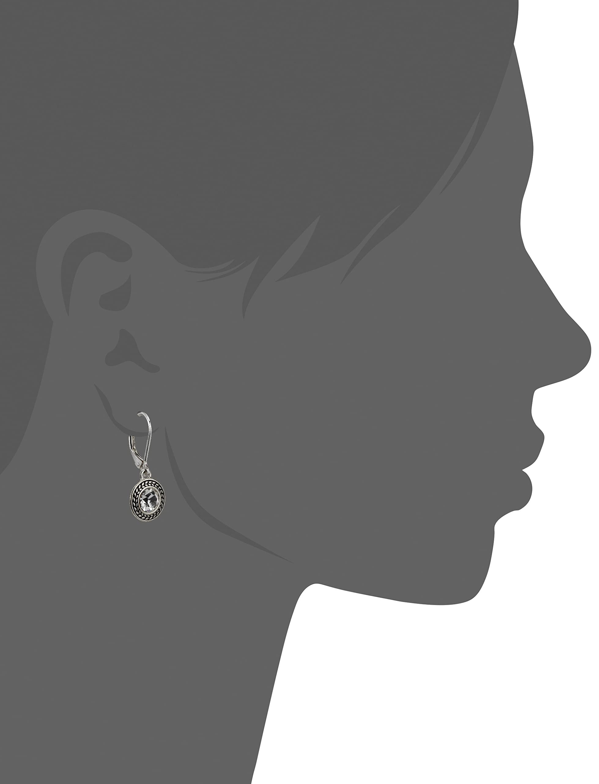 Napier Women's Color Declaration, Silver Tone Clear Crystal Glass Leverback Drop Earrings