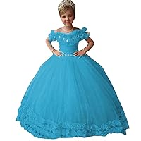 Fancy 3D Floral Flowers Ball Gown for Toddler Little Girls Prom Pageant Dresses with Sleeves