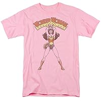 Popfunk Wonder Woman Distressed Powerful Stance Unisex Adult T Shirt