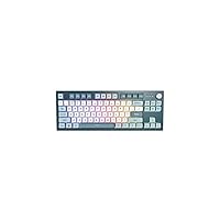 MKey TKL Mechanical Gaming Keyboard: Customizable RGB LED, Premium MDA Profile PBT Keycap, Hot-Swappable Gateron G Red Pro 2.0 Pre-lubed Switches, Osaka Castle Theme, Freedom (MK87FR)