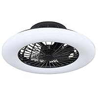 Ceiling Fan with Lighting and Remote Control, Quiet Ceiling Light with Fan, Dimmable, Star Effect, CCT Night Light Timer, 30 Watt LED, 1800 lm, 3000-6500 K, D 50 cm, Living Room, Bedroom