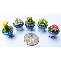 Mixed 5 Lovely Mix Plant Flower Cactus Dollhouse Miniature Flower,Home Decore