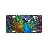 Beauty Peacock License Plate Cover for Car (new)