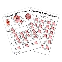 Speech Articulation Anatomy Poster 12x17inch, Speech Language Pathology - Vowels-fricative Consonants-diphthongs