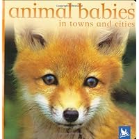 Animal Babies in Towns and Cities (Animal Babies) Animal Babies in Towns and Cities (Animal Babies) Hardcover Board book