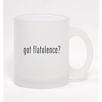 got flatulence? - Frosted Glass Coffee Mug 10oz