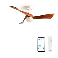 CREATE / Windlight Curve Ceiling Fan White with Lighting and Remote Control, Dark Wood Wings / 40 W, WLAN, Quiet, Diameter 132 cm, 6 Speeds, Timer, DC Motor, Summer Winter Operation