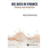 Big Data in Finance: Theory and Empirics