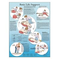 3B Scientific VR1770UU Glossy Paper Basic Life Support Anatomical Chart, Poster Size 20