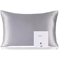 ZIMASILK 100% Pure Mulberry Silk Pillowcase for Hair and Skin Health,Soft and Smooth,Both Sides Premium Grade 6A Silk,600 Thread Count,with Hidden Zipper,1pc (Queen 20''x30'',Iron Grey)