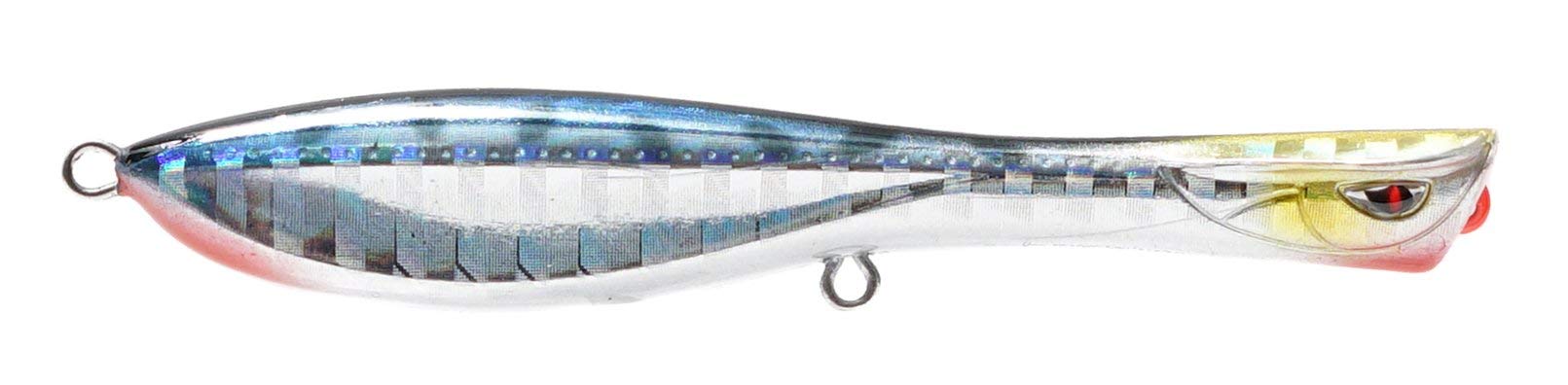 Mua Nomad Design Dartwing Floating Lure, Mimics Skipping Baitfish with  Unique Dartwing Head Design for Fast Retrieve & Maximum Surface Disturbance  – 130 FLT 5, 1 1/4oz, Sardine trên  Mỹ chính hãng 2024
