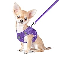 FEimaX Dog Harness and Leash Set, No-Pull Breathable Soft Mesh Puppy Vest Harness Reflective Adjustable Pet Harnesses for Small Medium Dogs and Cats - Outdoor Easy Control for Walking