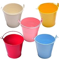 WellieSTR 25PCS (L - 8x10.5x12cm) Small Metal Buckets for Party Favors, Candy, Votive Candles, Trinkets, Small Plants,5 COLOR