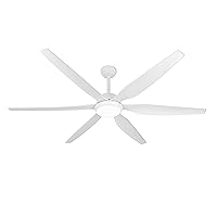 65 Inch Ceiling Fan with Lights and Remote,6 Blades,Reversible,6 Speed Noiseless DC Motor,Large Ceiling Fan White for Indoor Outdoor Bedroom/Patios/Farmhouse