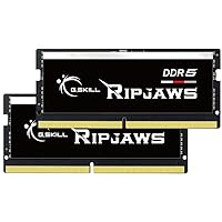 G.SKILL Ripjaws DDR5 SO-DIMM Series DDR5 RAM 32GB (2x16GB) 4800MT/s CL38-38-38-76 1.10V Unbuffered Non-ECC Notebook/Laptop Memory SODIMM (F5-4800S3838A16GA2-RS)