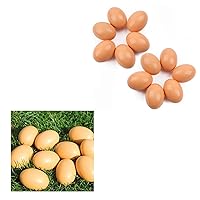 YunKo 18Pcs Wooden Brown Fake Nest Eggs Easter Eggs for Craft Decorate Get hens to Lay Eggs