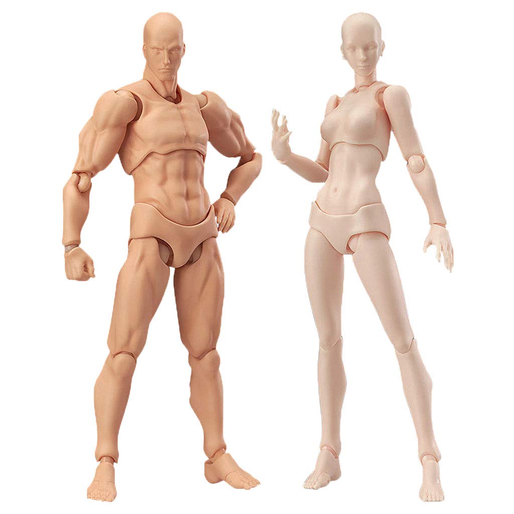 Drawing Figures For Artists Action Figure Model Human Mannequin Man andWoman Set 