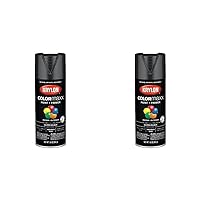 Krylon K05505007 COLORmaxx Spray Paint and Primer for Indoor/Outdoor Use, Gloss Black 12 Ounce (Pack of 2)