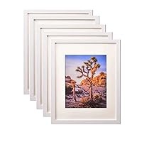 20x24 Picture Frame in White with Polished Plexiglass - Horizontal and Vertical Formats with Included Hanging Hardware- 5 SETS.