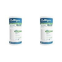 Culligan RFC-BBSA 25 Micron Whole House Water Filter for Sediment, 10