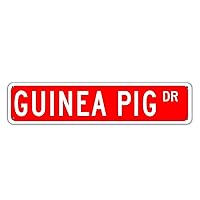 Guinea Pig DR Metal Tin Signs Oil Paint Personalized Solid Red Inside Outside Decorations Waterproof Aluminum Wall Mounted Sign Fade Resistance for Work Shop Office House Warming Gifts Rectangle 4x18