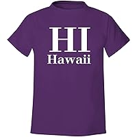 HI Hawaii - Men's Soft & Comfortable T-Shirt