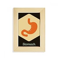 Body Internal Organs Stomach Desktop Display Photo Frame Picture Art Painting 5x7 inch