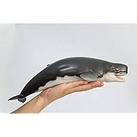 PNSO Livyatan Requena Figure Realistic Prehistoric Sperm Whale Animal PVC Collector Toys Art Model Decoration Gift for Adult