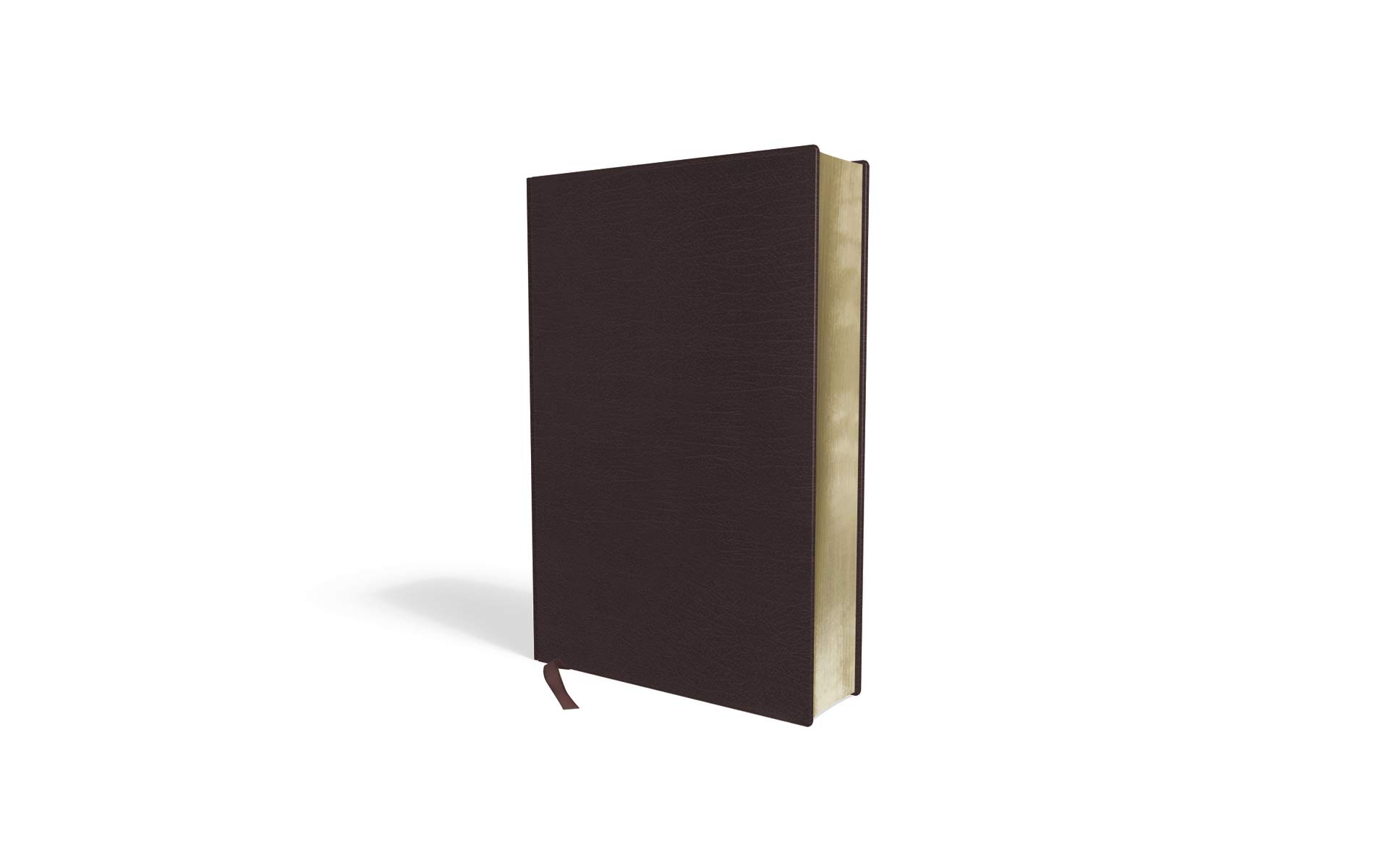 Amplified Holy Bible, Large Print, Bonded Leather, Burgundy: Captures the Full Meaning Behind the Original Greek and Hebrew