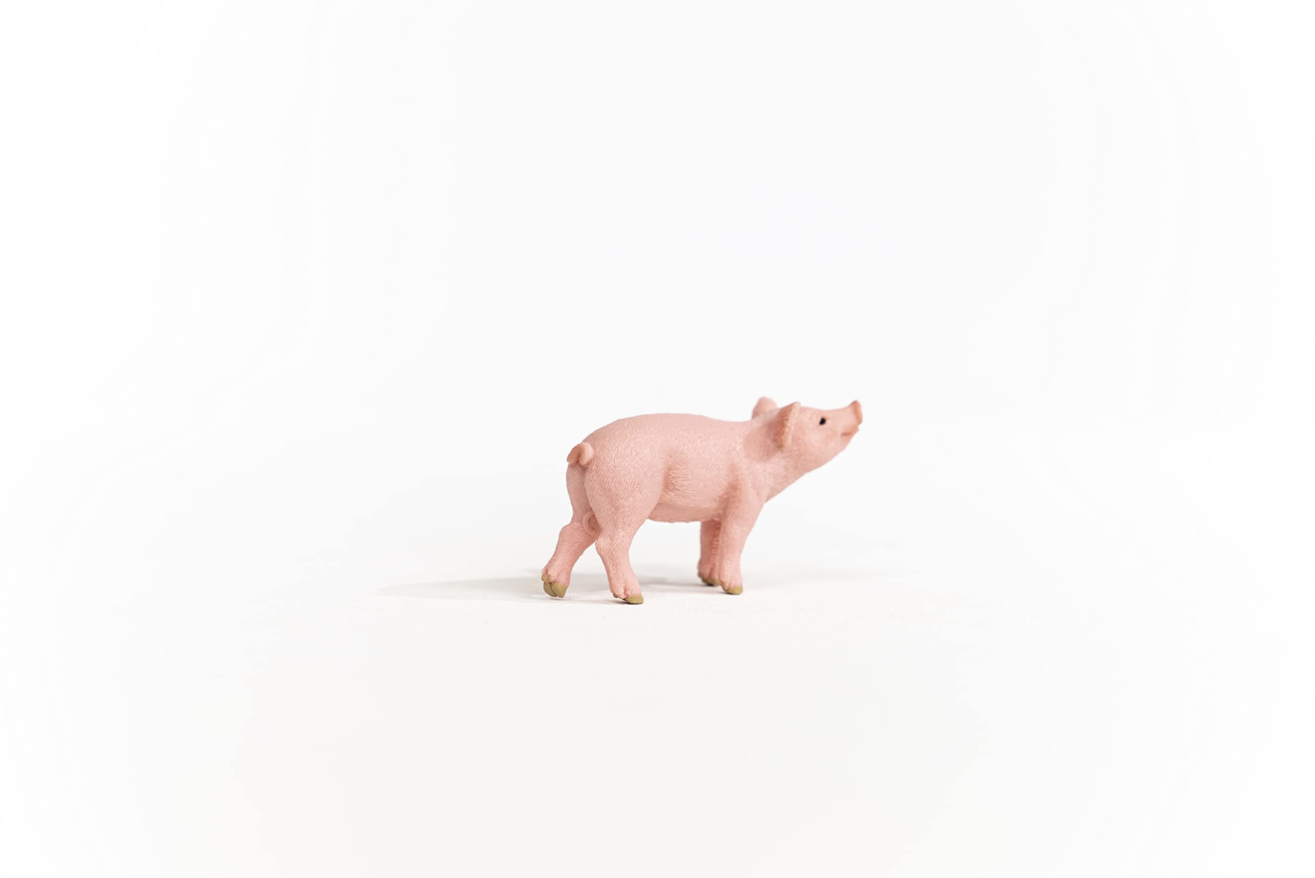 Schleich Farm World, Realistic Baby Farm Animal Toys for Boys and Girls, Piglet Toy Figurine