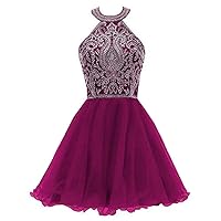 Women's Halter Short Tulle Homecoming Dress Lace Appliques Beaded Prom Gowns