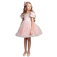 Princess Girl Dress, Tulle Wedding Party Pageant Gown, Luxury Tulle Girl Dress, Sparkly Sequin Princess Bow Dress