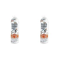 Revenge Wasp & Hornet Killer Aerosol, 15 oz Ready-to-Use Spray for Wasps, Hornets and Yellow Jackets, Kills Entire Nest (Pack of 2)